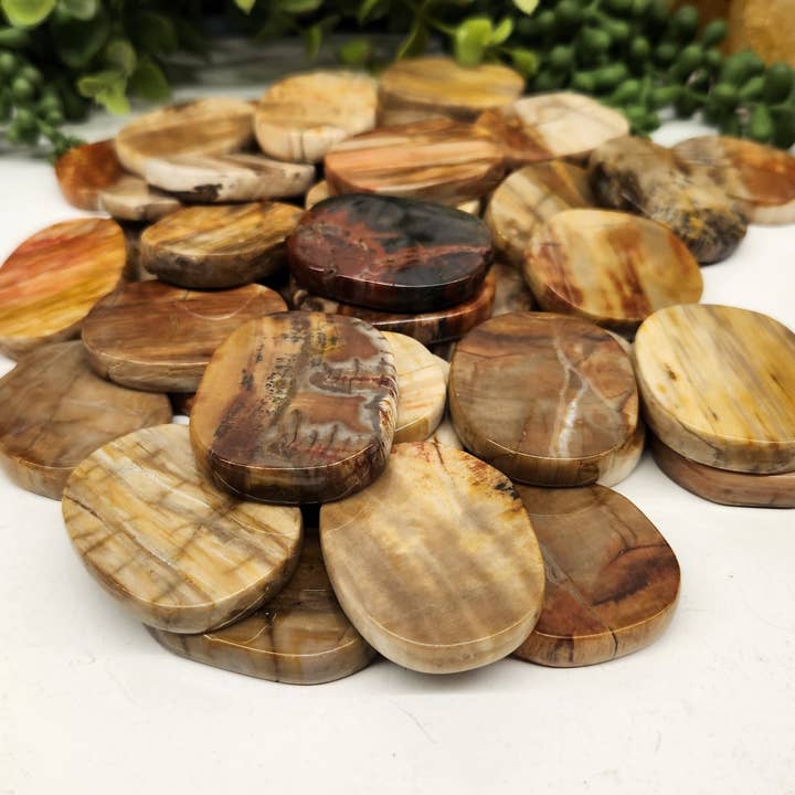 Petrified Wood Flat Smooth Stones (0.5kg/1.1lbs)-45x35x7mm for wholesale by Meraki Gemstones