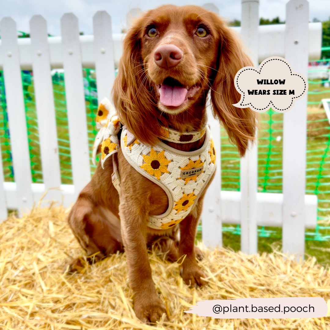 Cocopup London - Wholesale Pet Harness - Dog - Sunflower Patch Adjustable Neck Harness9