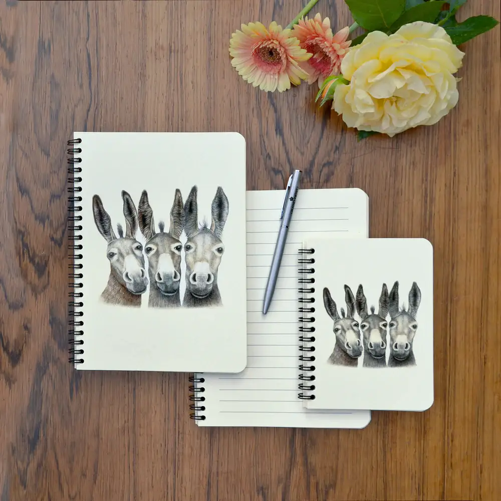 Charlotte Nicolin - Wholesale Notebook - Amigos - Notebook 2