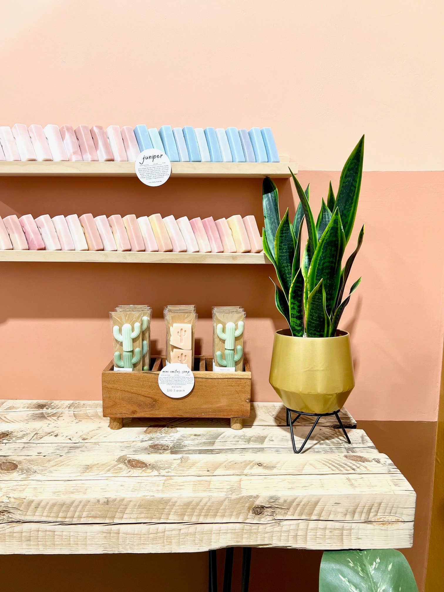 Naked Fig - Wholesale Bar Soap - Mini Cactus Soap- 3 Pack16