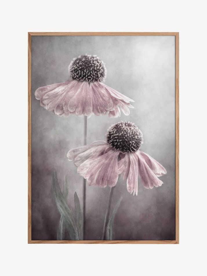 Dueto por atacado de Pictufy Wholesale