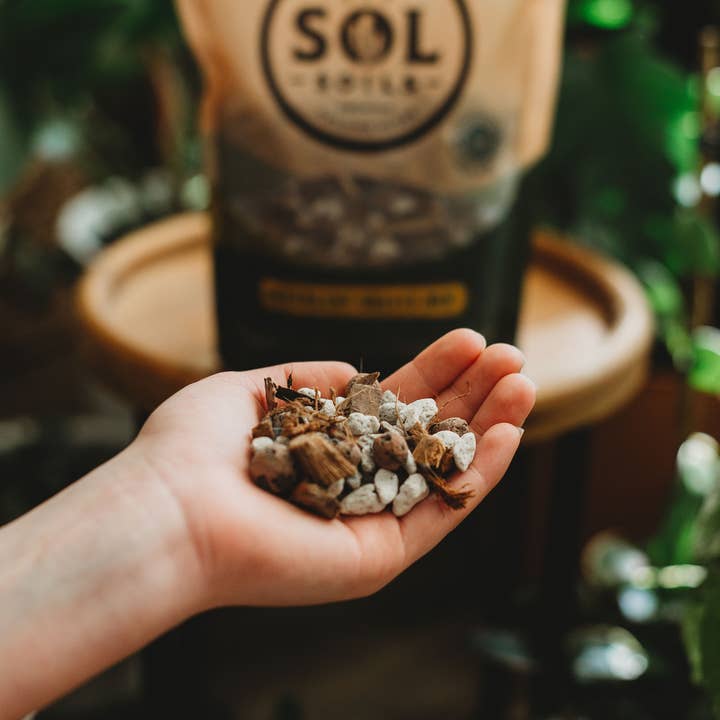 Sol Soils - Wholesale Planting/Potting Soil - Soil (1Qt) Succulent Gritty Mix