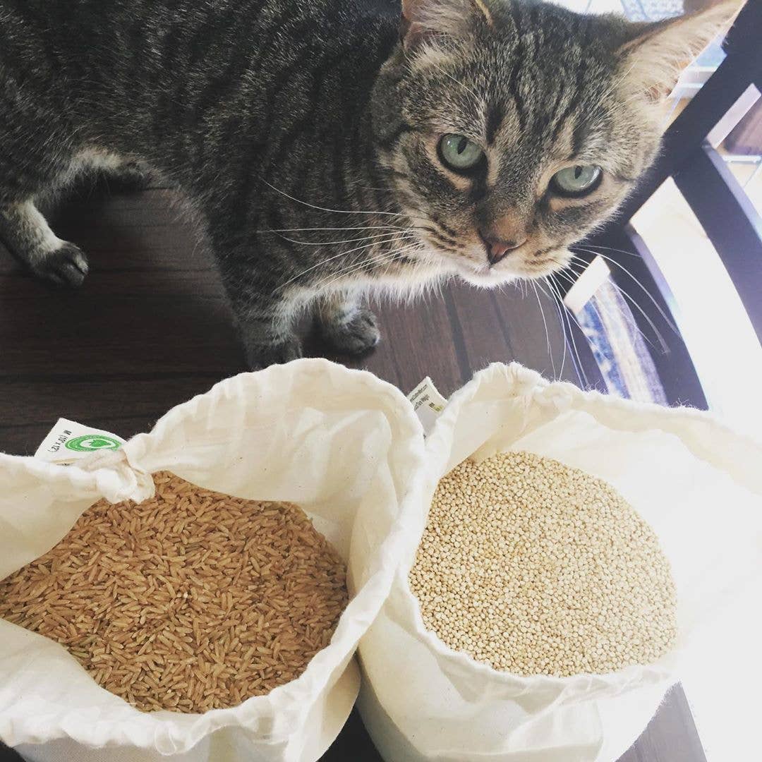 Organic Cotton Mart - Wholesale Kruidenierswinkel/boodschappentas - Mousseline Produce Tassen3