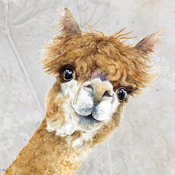 Tábua de corte de vidro, Wendy, Alpaca por atacado de Field and Fur Gifts