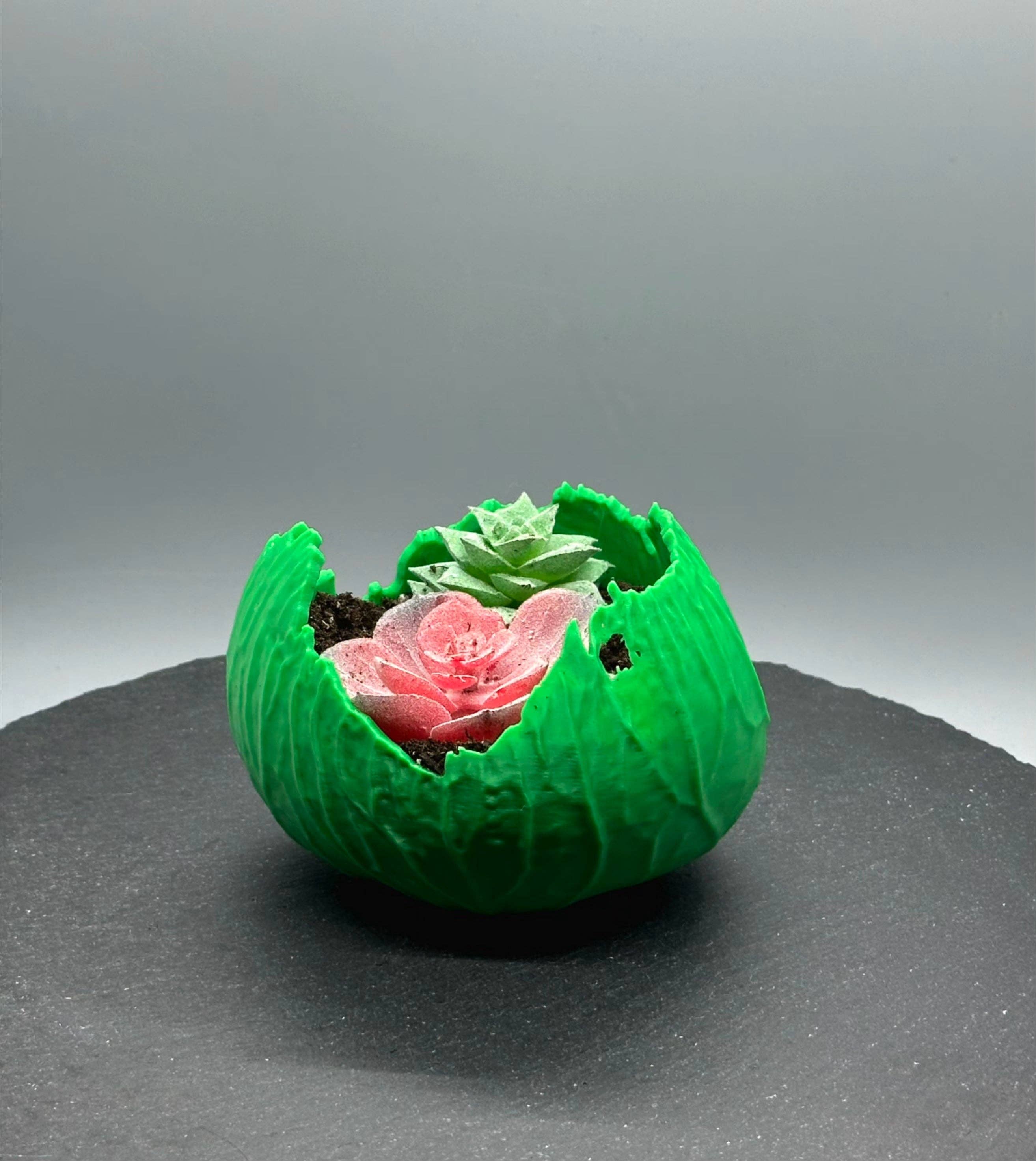 3DHotShop - Wholesale Plant pot - Cabbage Planter2