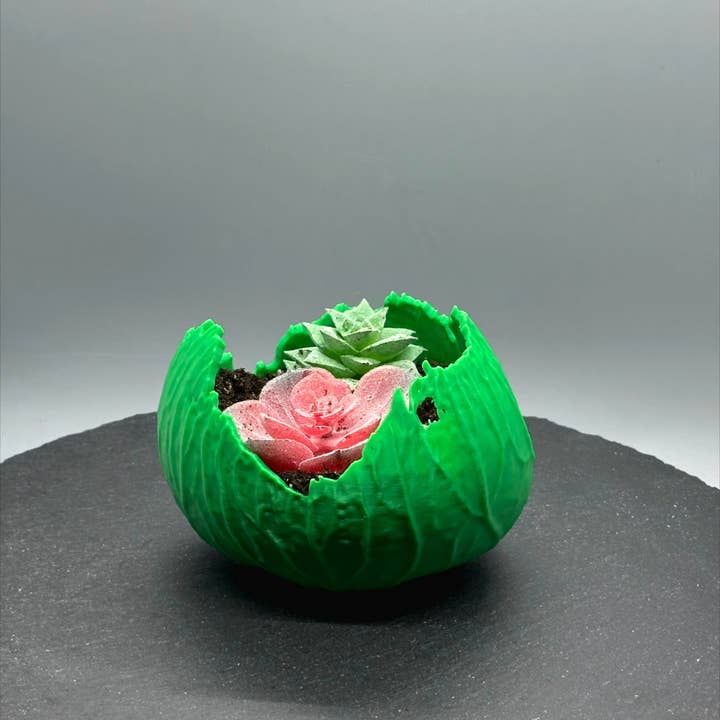 3DHotShop - Wholesale Plant pot - Cabbage Planter2