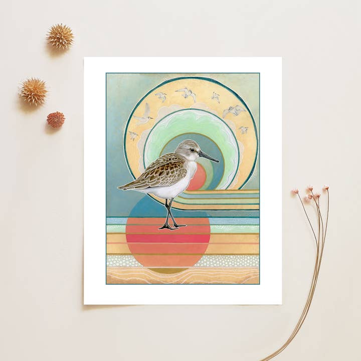 Western Sandpiper - 8x10 Archival Fine Art Print for wholesale by Amy Rose Moore Illustration