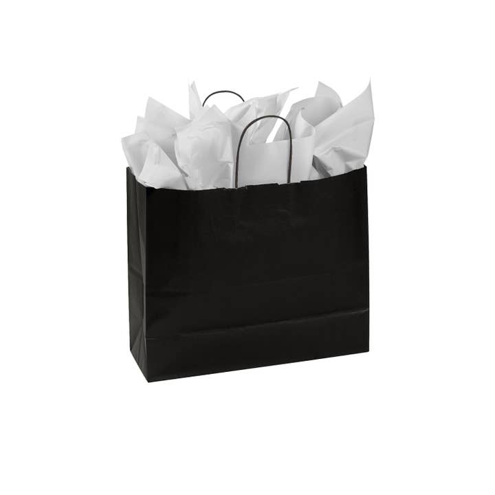 Store Supply Warehouse - Wholesale Gift Bag - Colorful Kraft Paper Shopping Bags31