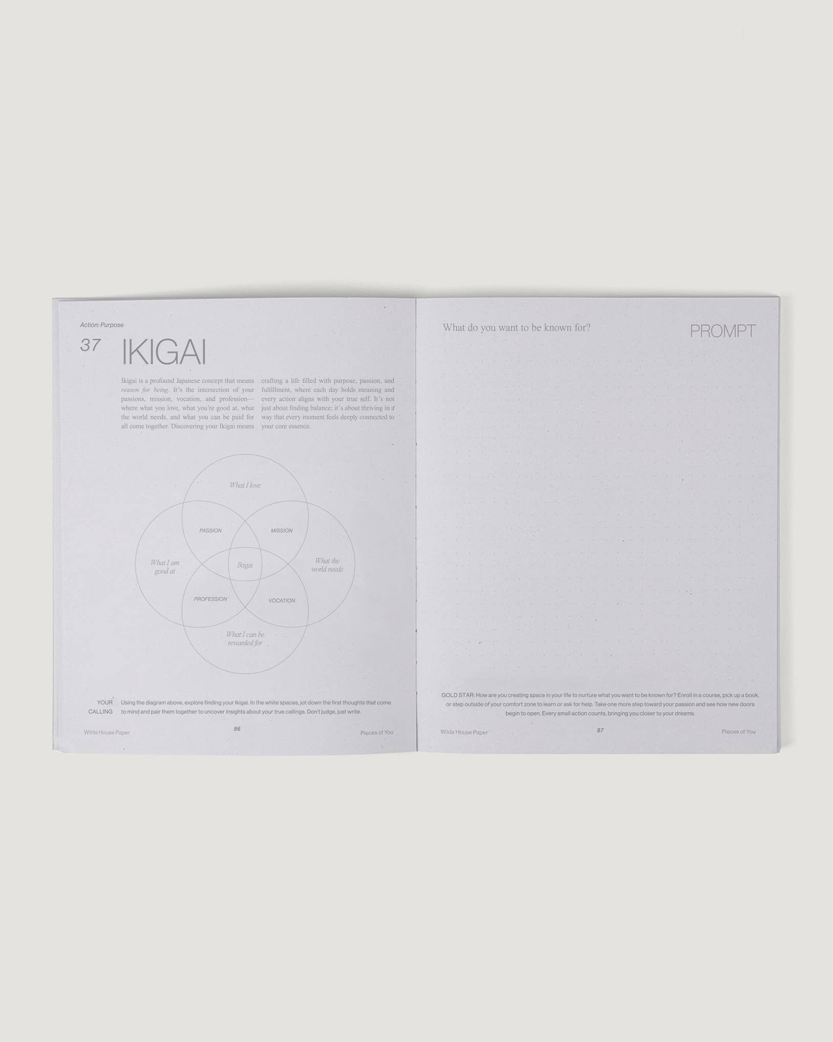 Wilde House Paper - Wholesale Journal/Diary - Pieces of You Journal10