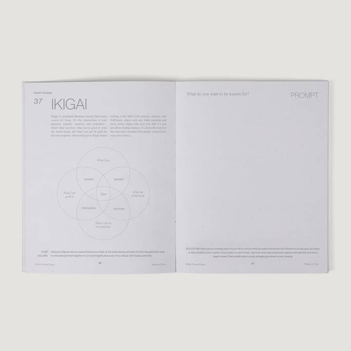 Wilde House Paper - Wholesale Journal/Diary - Pieces of You Journal10