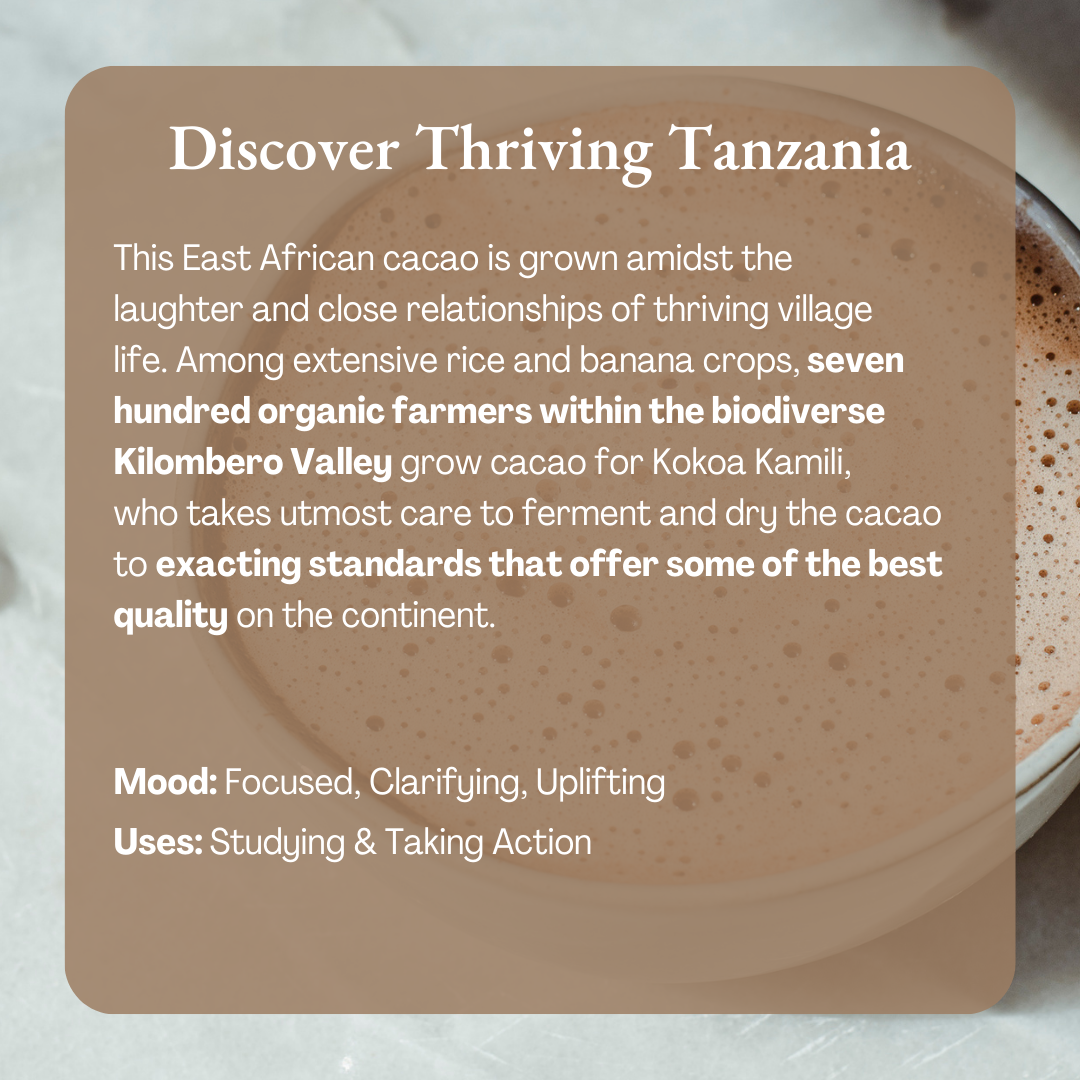 Ora Cacao – Engroshandel Varm kakaoblanding – Thriving Tanzania 100 % kakao – Økologisk ceremoni-chokolade4