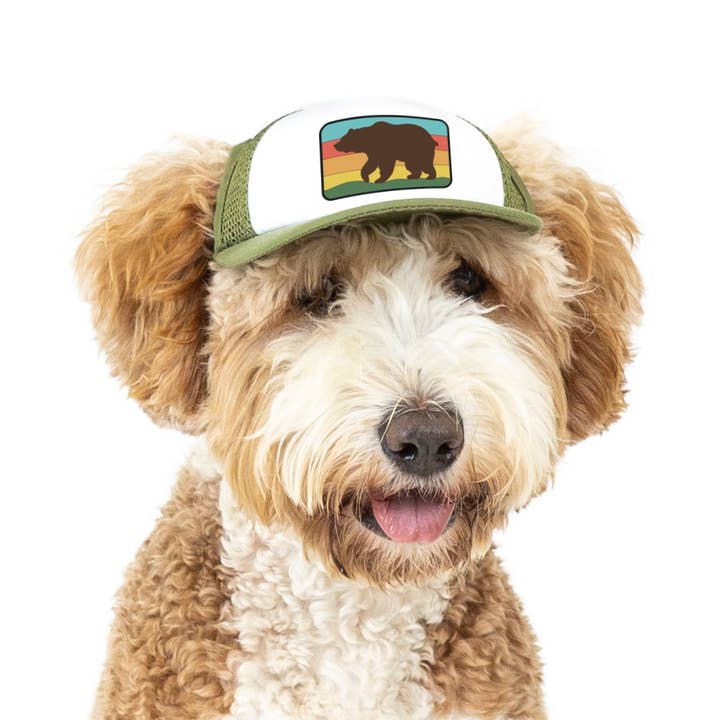 PupLid - Wholesale Pet Hat - Dog - Bear Standard or Namedrop | Trucker Hat for Dogs