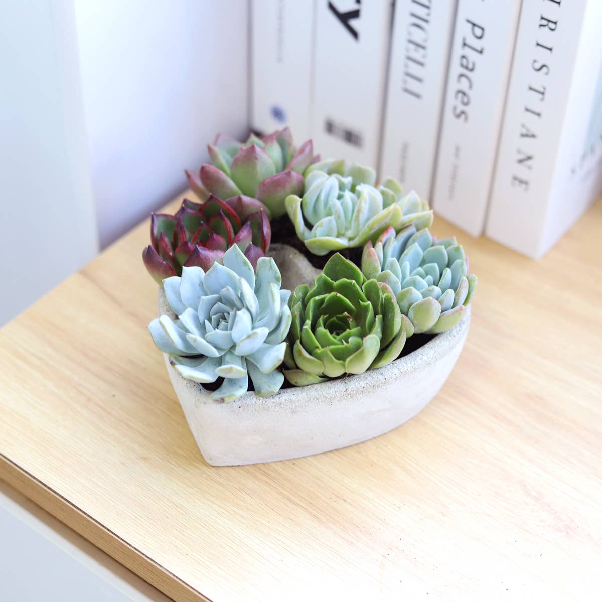 Best Plant Friend - Wholesale Succulent - Succulent Heart Arrangement - Succulent Gift Decor Ideas1