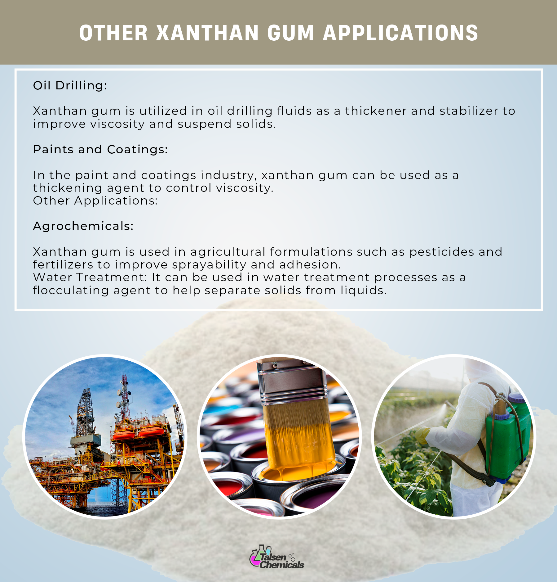 Talsen Chem - Wholesale Protein/Superfood Powder - Xanthan Gum3