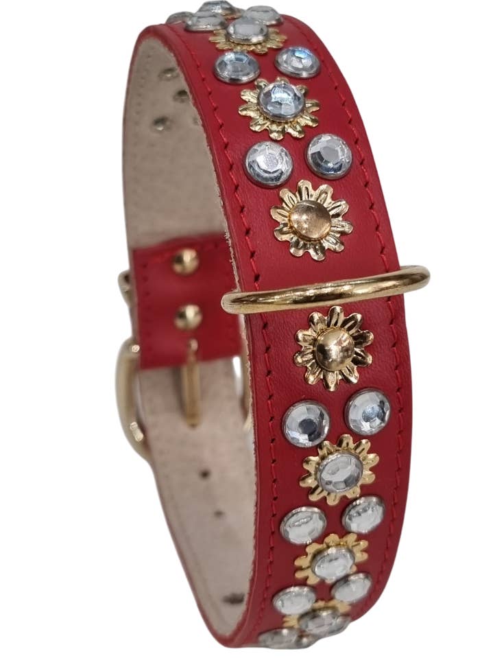 50062 COLAR DALLAS por atacado de jmc creadog