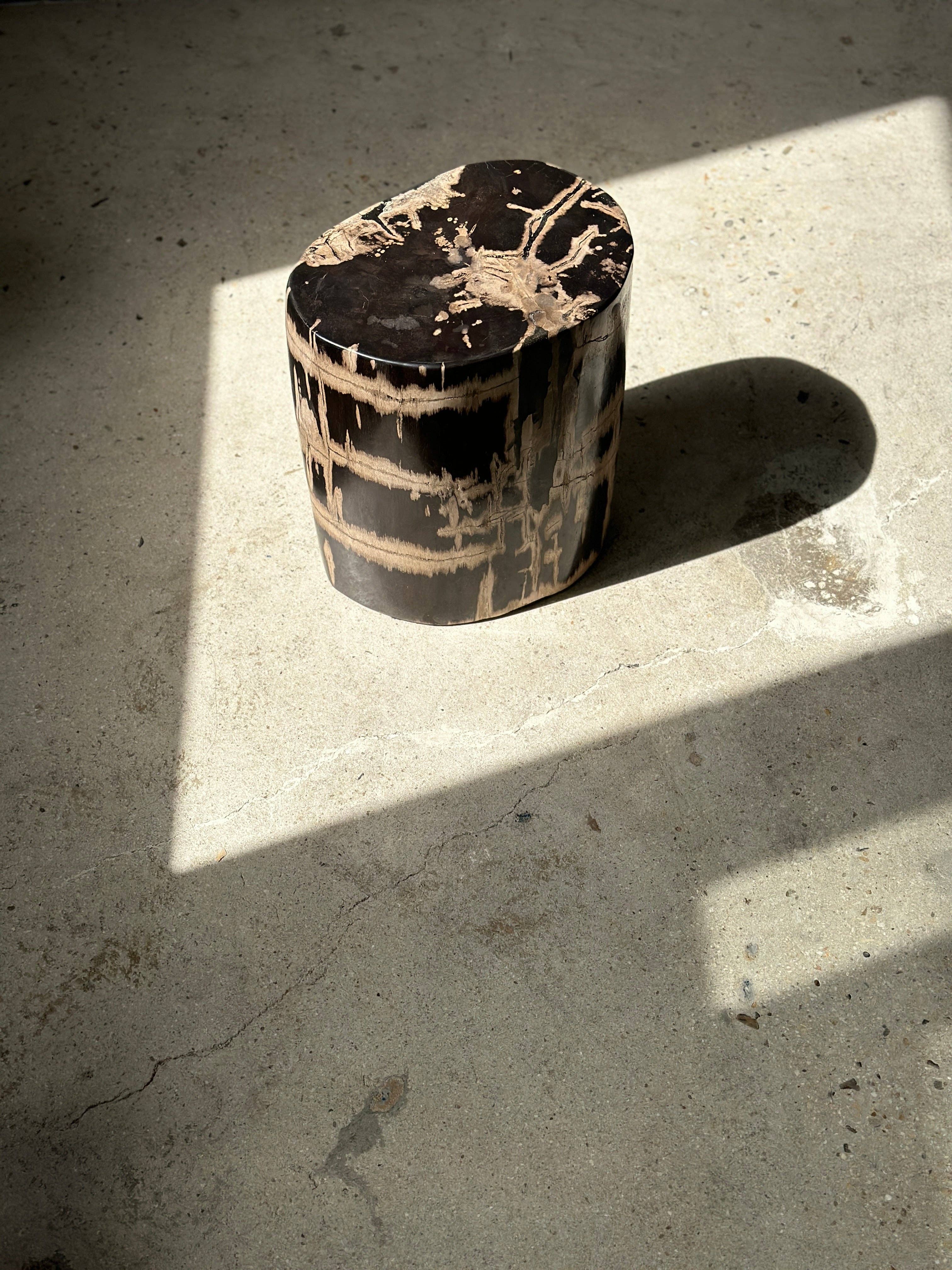 Office Objets - Vente Tables d'appoint - Table d'appoint en bois pétrifié26