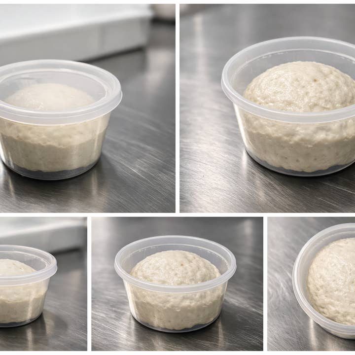 Gluten-Free Pan Pizza Dough Ball – Italian Caputo flour for wholesale by FaBene and Co LLC