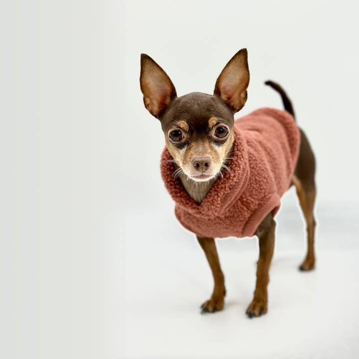 DoggieCoutureNY - Wholesale Pet Sweater - Dog - Cozy Sherpa Fleece Pullover - Rose