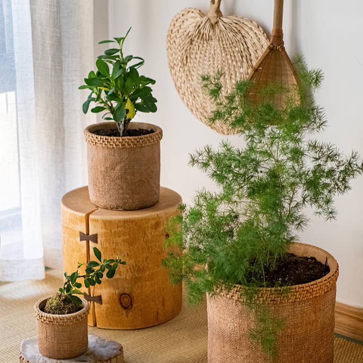 Rustic Reach - Wholesale Plant Pot - Straw Looking Concrete Planter
