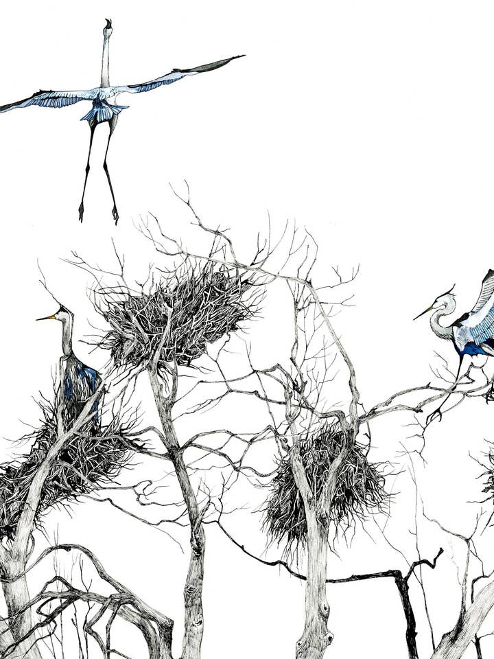 Rookery card for wholesale by Mattie Rose Art