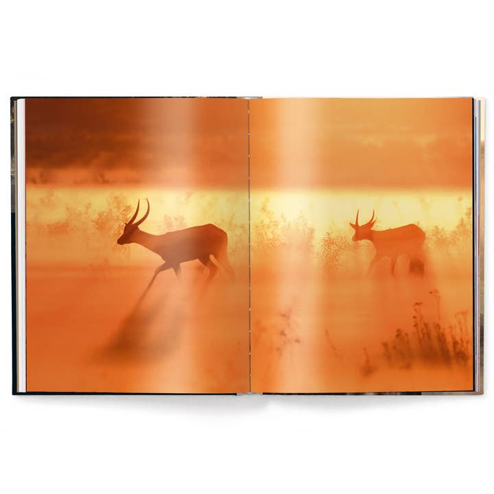 gestalten & teNeues - Wholesale Display Book - Mother: A Tribute to Mother Earth6