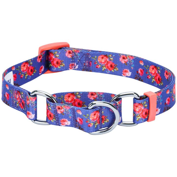 Blueberry Pet - Wholesale Pet Collar - Dog - Petal Paws Floral Martingale Safety Training Dog Collar3