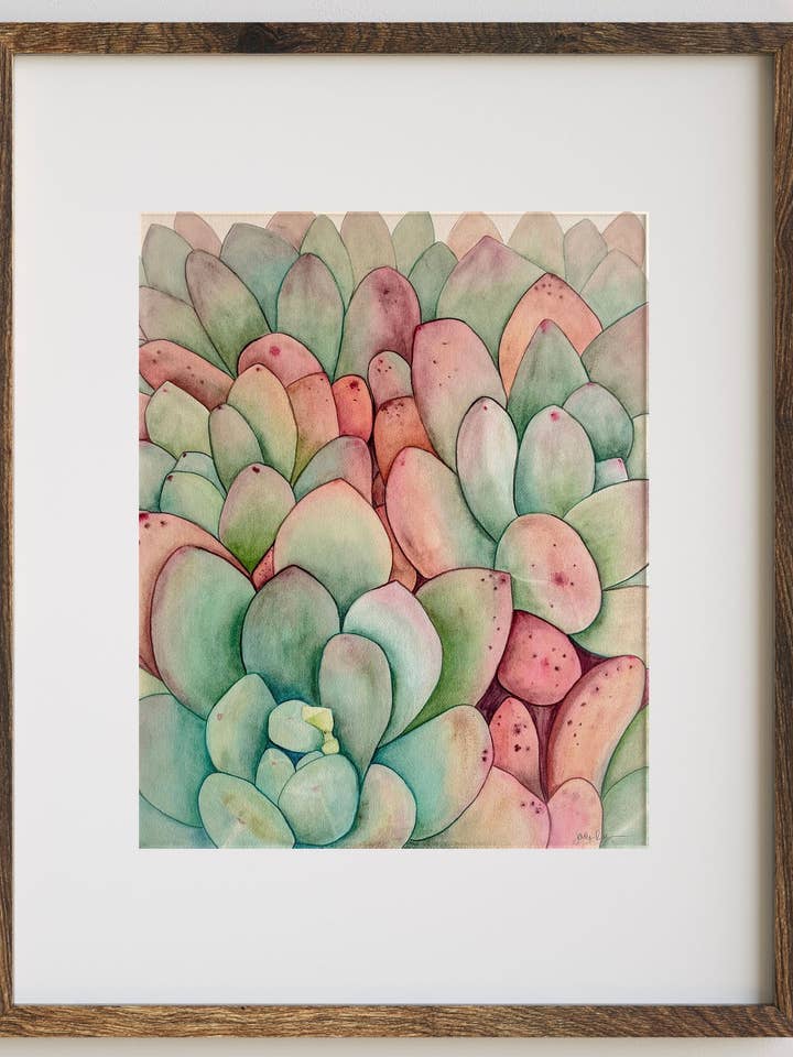 Pachyveria Rosette Succulent Art Print for wholesale by Jradartdesign