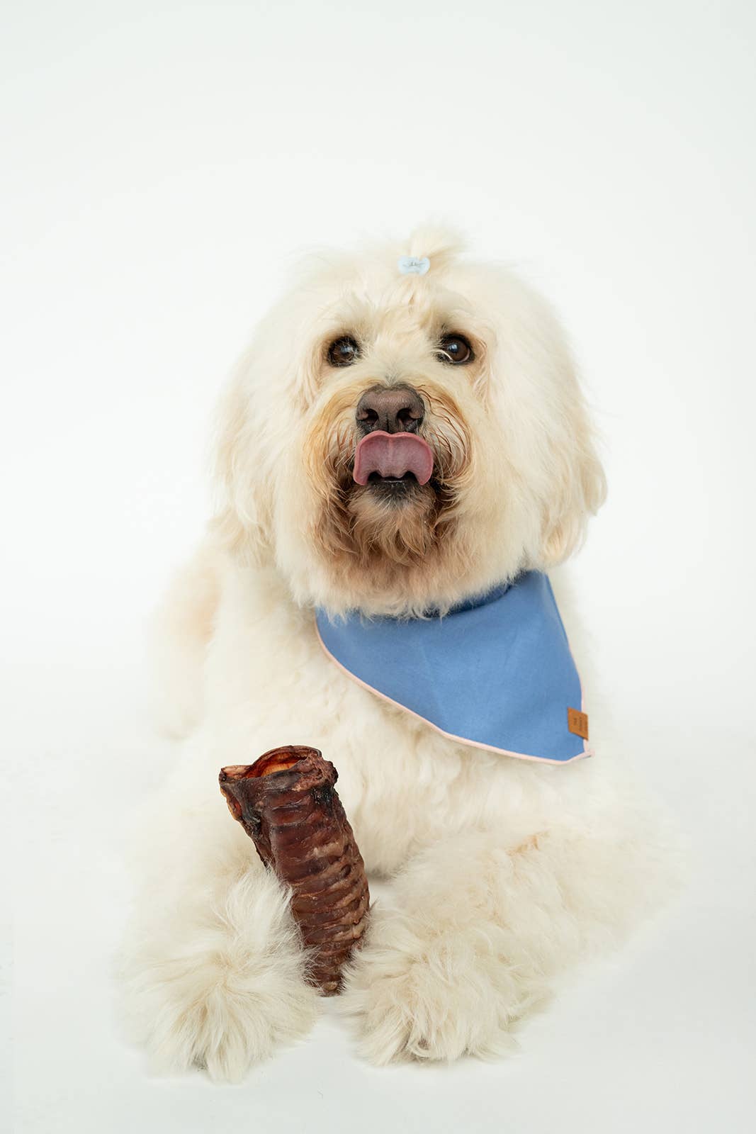 Winnie Lou - Wholesale Pet Treats - Dog - Bison Trachea Chews2