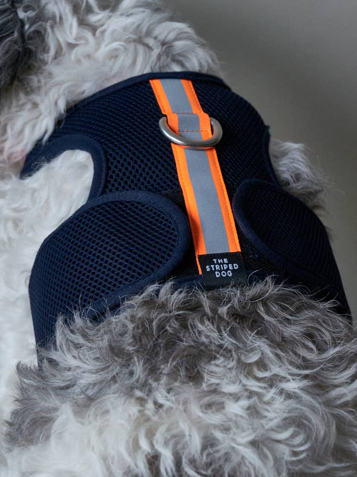 Blue Neoprene Harness with Reflective Neon Stripe Chroma for wholesale by The Striped Dog