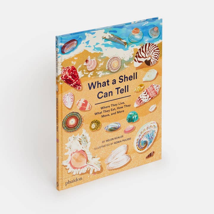 Phaidon - Wholesale Book - Kids - What A Shell Can Tell