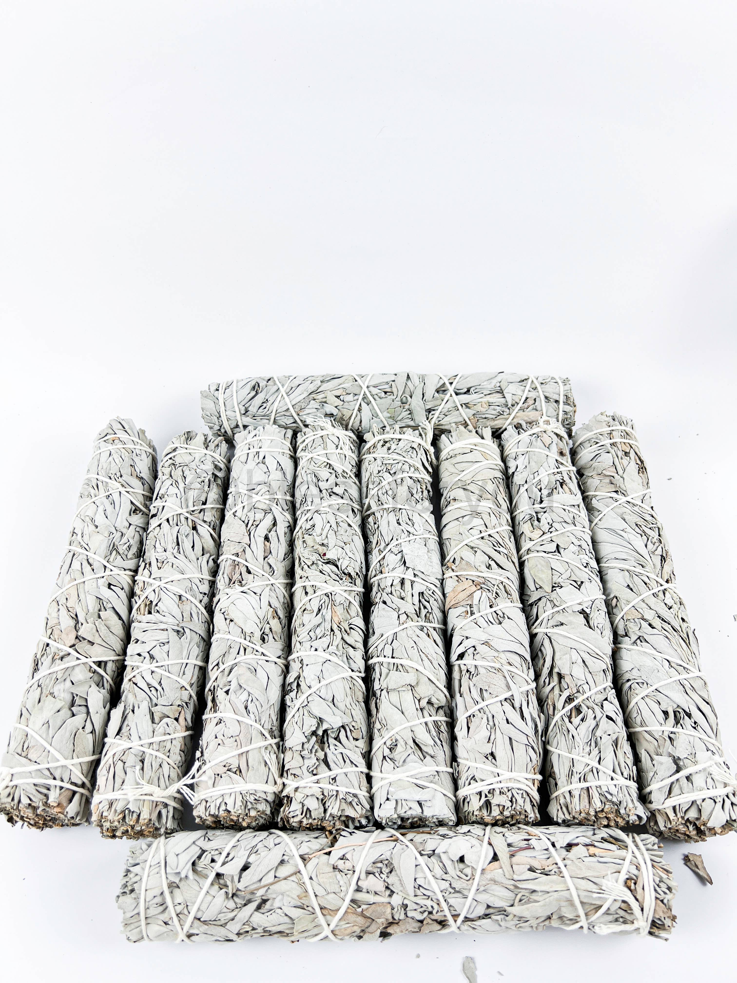 GREENROOTS USA LLC - Wholesale Sage Bundle - White Sage Smudge Stick 9" Jumbo HoUSe Cleansing Energy14