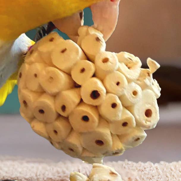 Coconut King - Wholesale Pet Toy - Cat/Dog - Sola Atta Ball Shreddable Bird Toy0