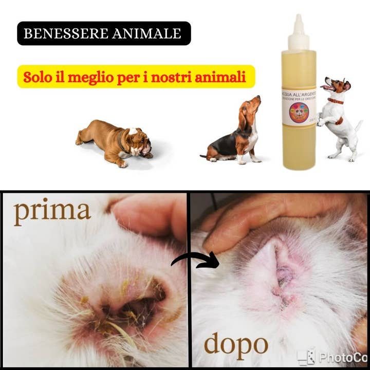 Idropet - Wholesale Pet Cleaning Supplies - Colloidal silver water for ear treatment 200 ml2