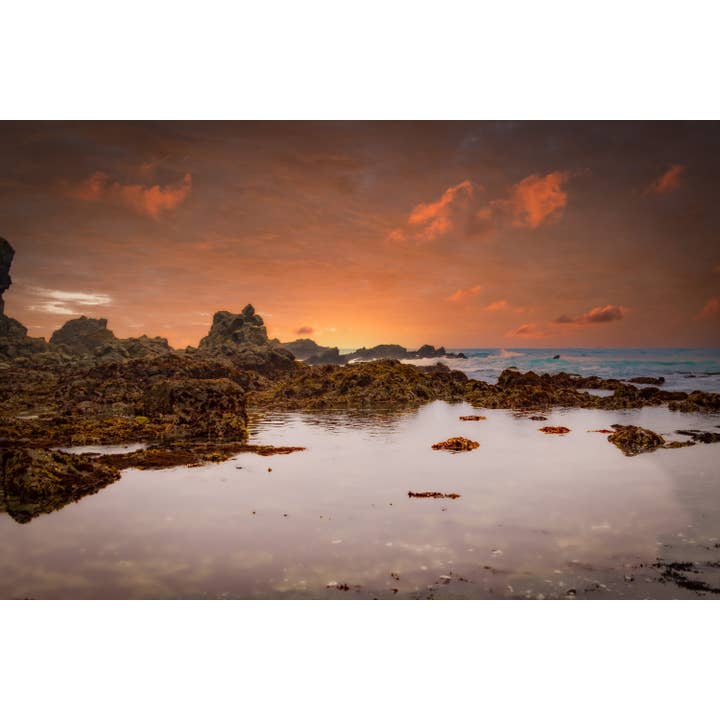 Tide Pool Stillness, Californië Sonoma Coast | Schilderij voor wholesale door Richard Miles Photos