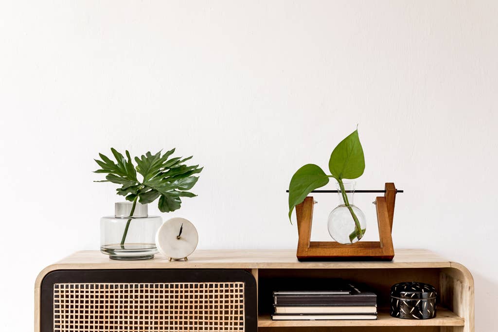 MAGS - Wholesale Vase - Lilly Hydro Vase2