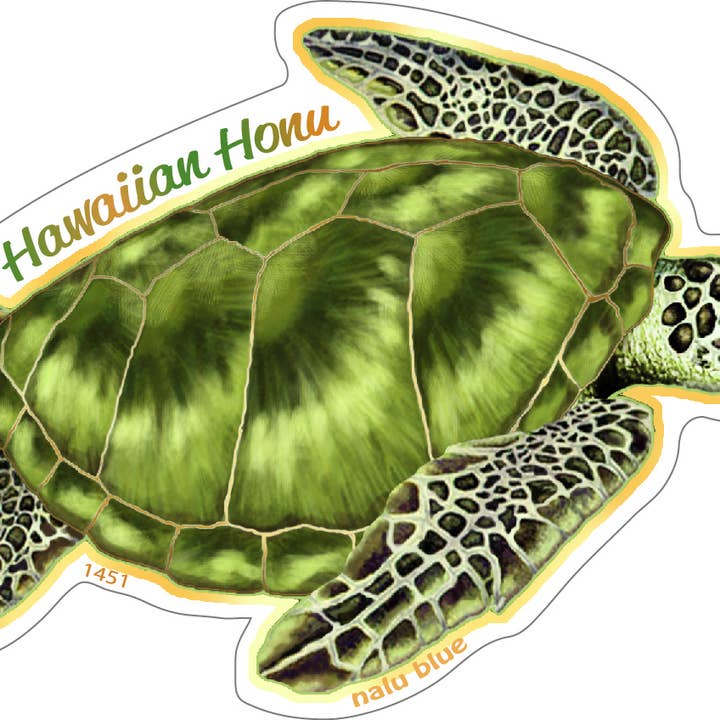 honu glide for wholesale by nalu blue