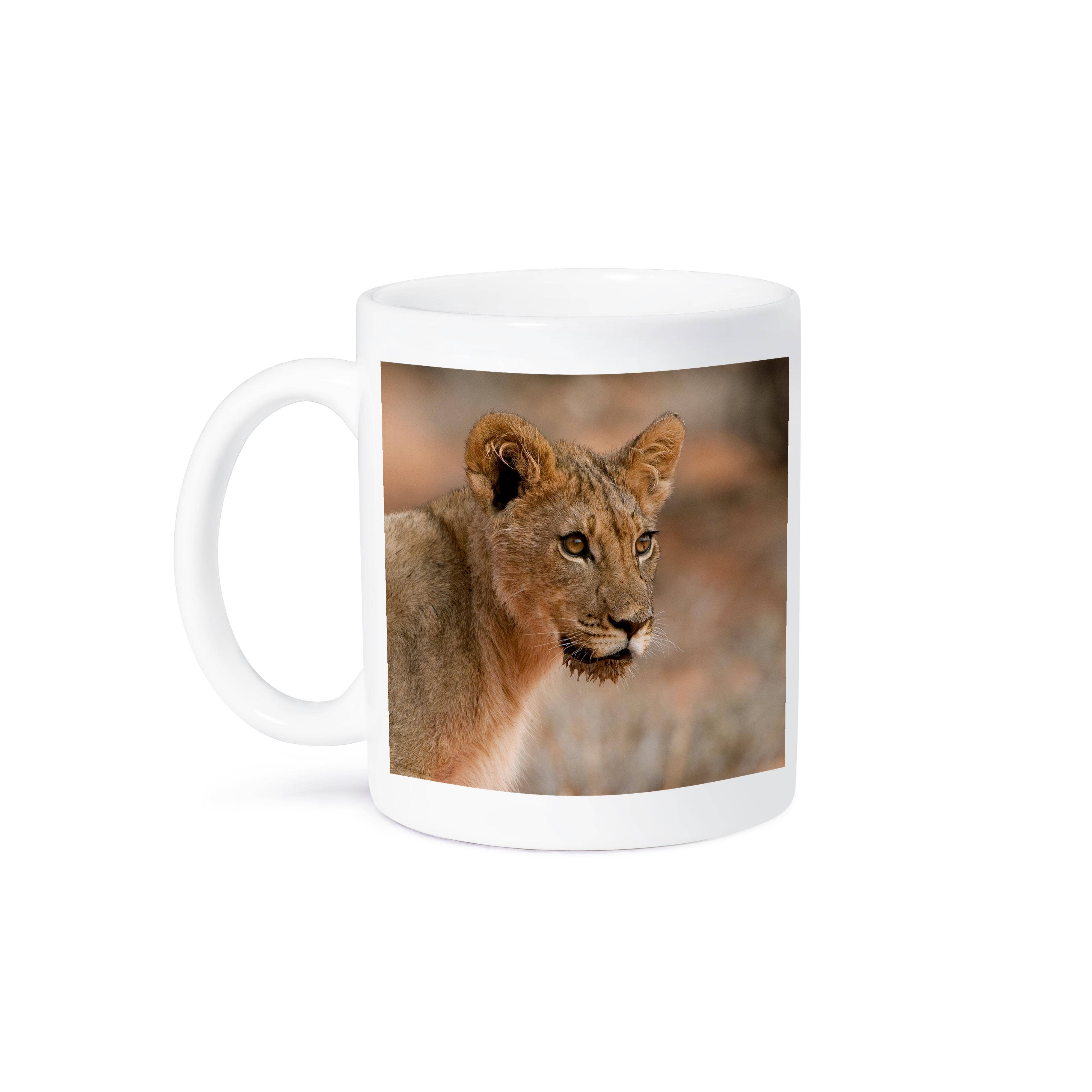 3dRose – wholesale Coffee mug – 3dRose, Lion with wet jaw from drinking water, Kgalagadi NP, South Africa., Mug8