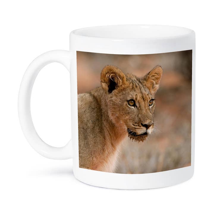 3dRose – wholesale Coffee mug – 3dRose, Lion with wet jaw from drinking water, Kgalagadi NP, South Africa., Mug8