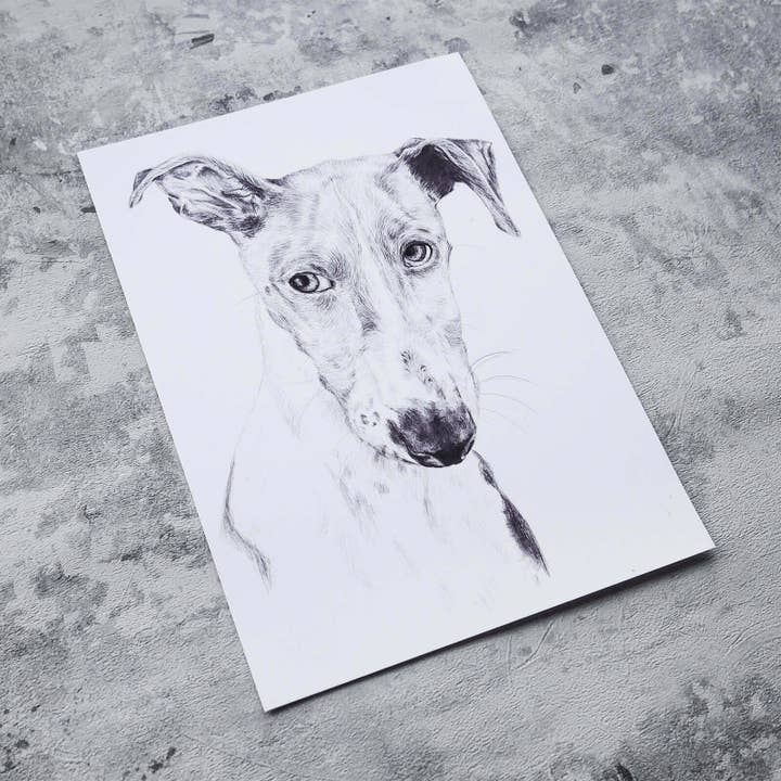 Greyhound dog Illustration in pencil - art print for wholesale by Kirsty McGill