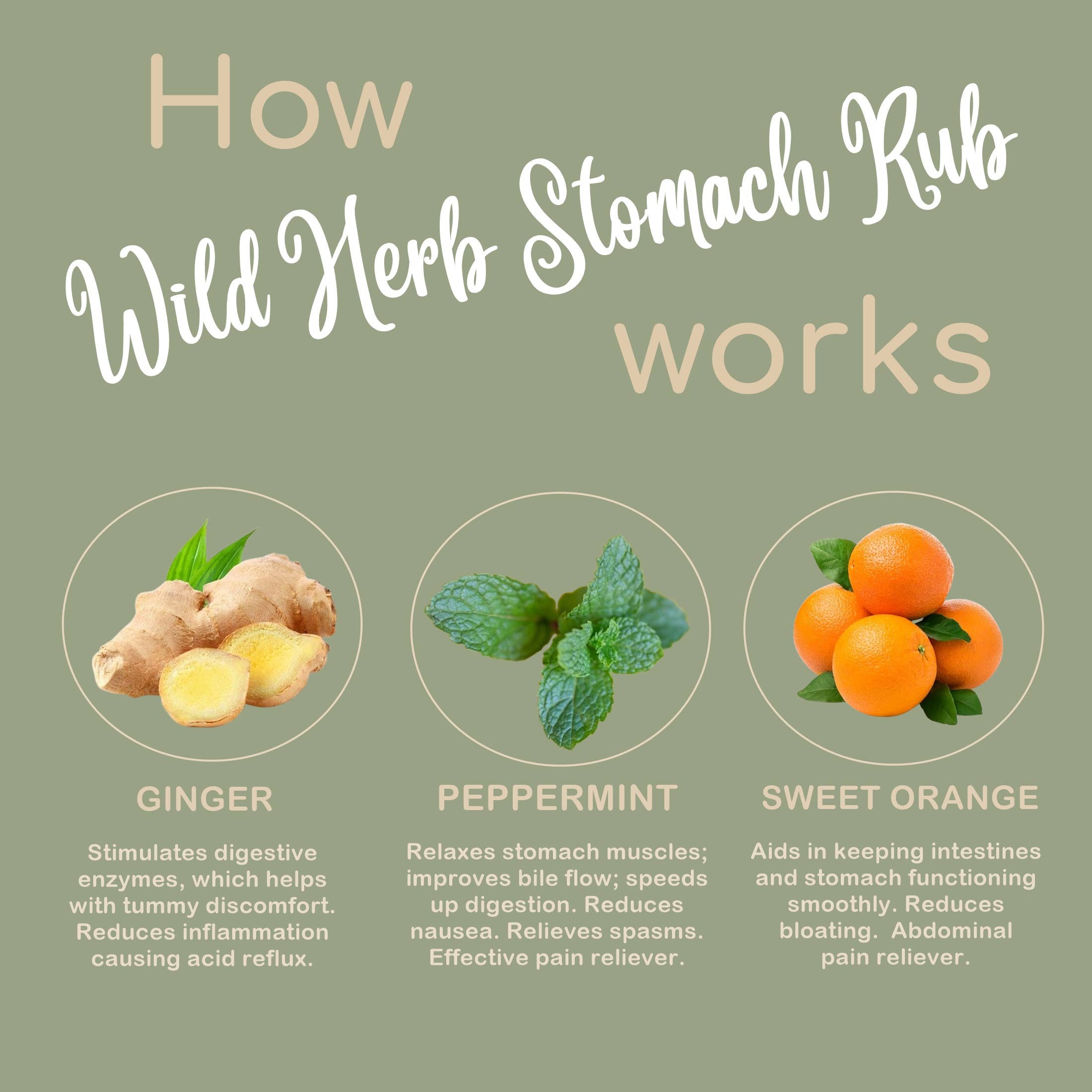 Wild Herb Soap Co – Óleo essencial por atacado – Esfoliação Estomacal: Indigestão com Gás Natural Azia e Náuseas 1