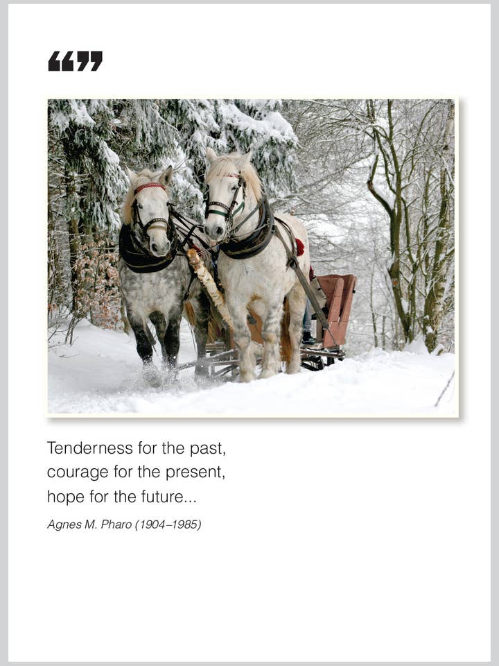 Tenderness Christmas Boxed Set for wholesale by The Borealis Press Inc