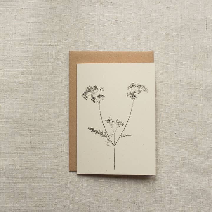 Alicia Breakspear - Wholesale Everyday Greeting Card - Cow Parsley Botanical Print Greeting Card A6 Recycled 1