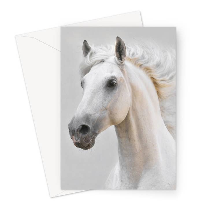 Silver By Nature Horse Greeting Card for wholesale by Wild And Arty