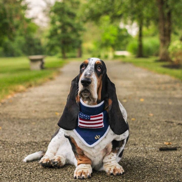 The Deluxe Pup – wholesale Pet bandana – Dog – BANDANA | BENJAMIN ROSS4