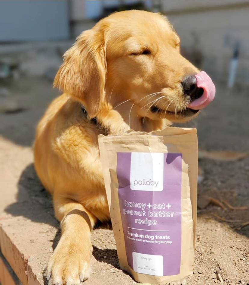 pallaby - Wholesale Pet Treats - Dog - healthy baked dog treats – Natural Honey, Oat, Peanut Butter8