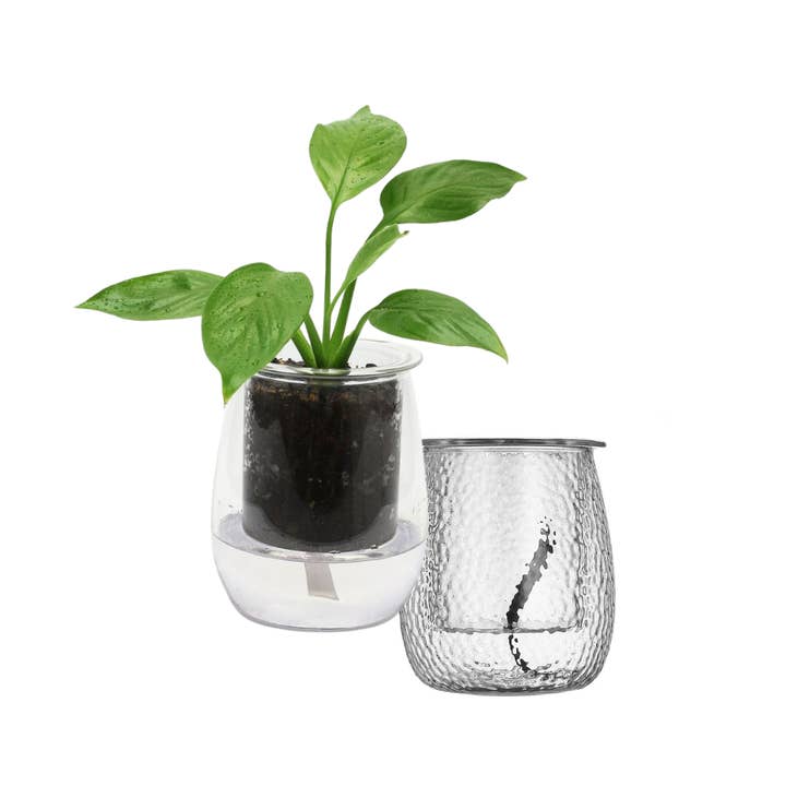 CUP O FLORA® - Wholesale Plant Pot - Mini Self-watering Planter6