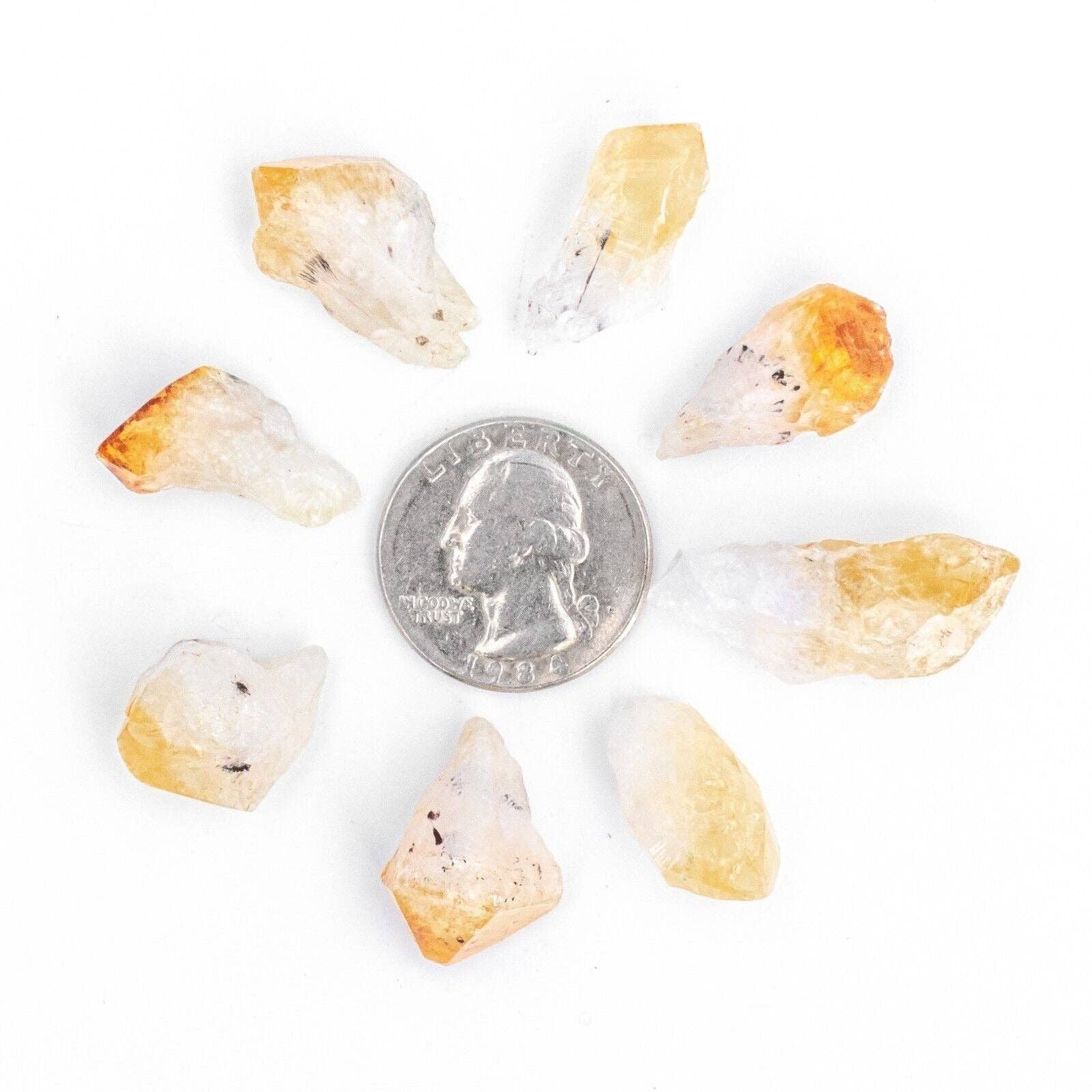 Tree of Life Gems - Wholesale Spiritual Stone/Crystal - Mixed Size Citrine Points8