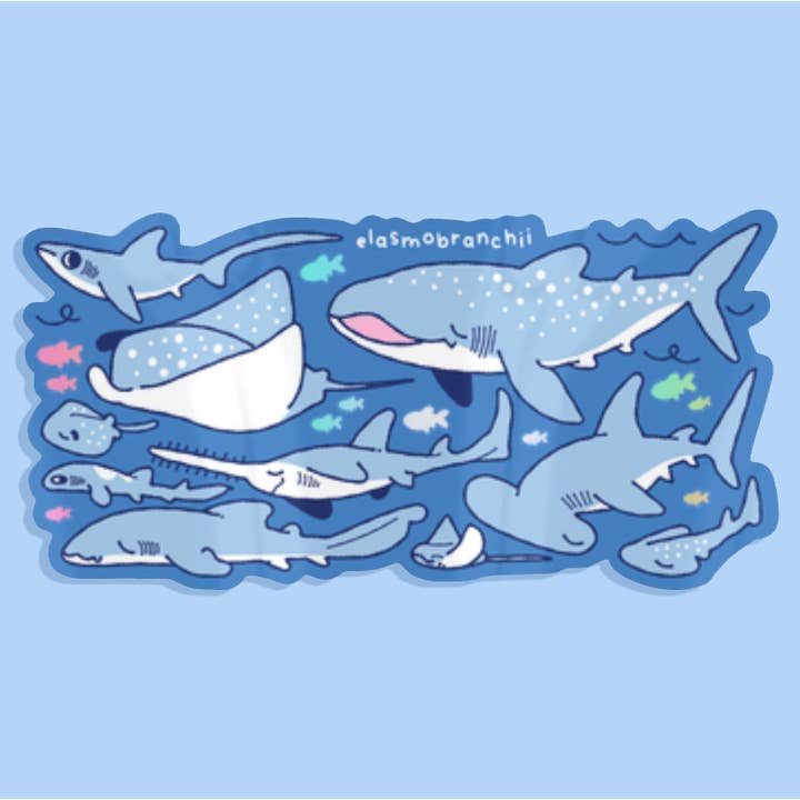 Elasmobranch Holo Sticker for wholesale by Fiveboos Inc