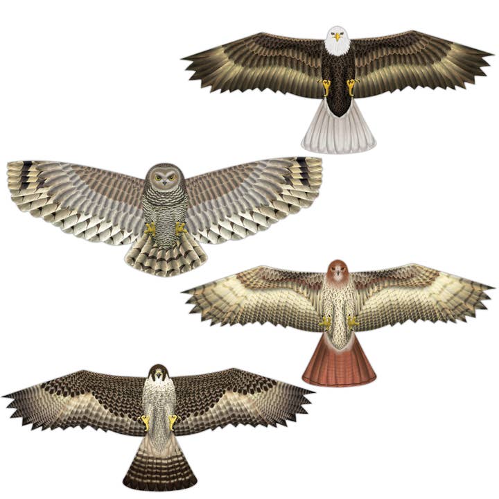 In the Breeze, LLC. - Wholesale Kite - Birds of Prey 12 PC Assortment