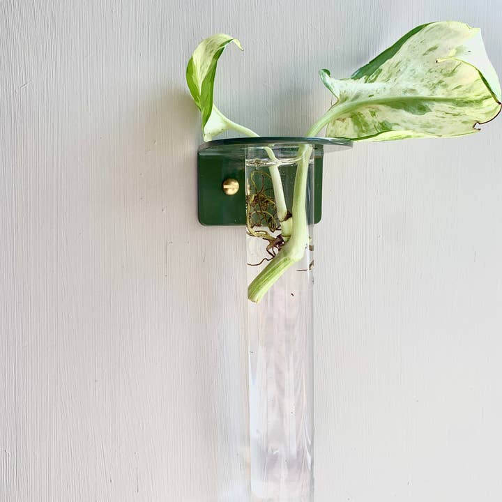 Station de propagation murale simple - Olive et autres tendances Résultats pour mural mouchoirs papier en vente B2B. Retours gratuits et paiement à 60 jours sur Faire sur Faire.